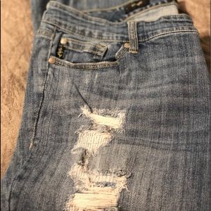 Torrid premium boyfriend jean